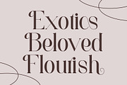 Asteria - Luxury Serif Font, a Serif Font by Aqeel_Art (Thumbnail 7 of 12)