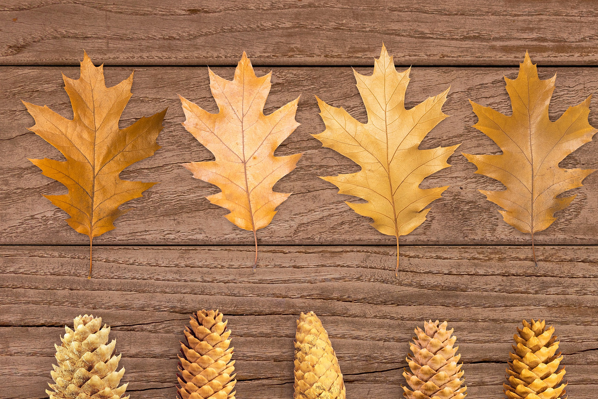 Autumn Floral Mockup, an Object Graphic by uncle-rico (Photo 7 of 12)