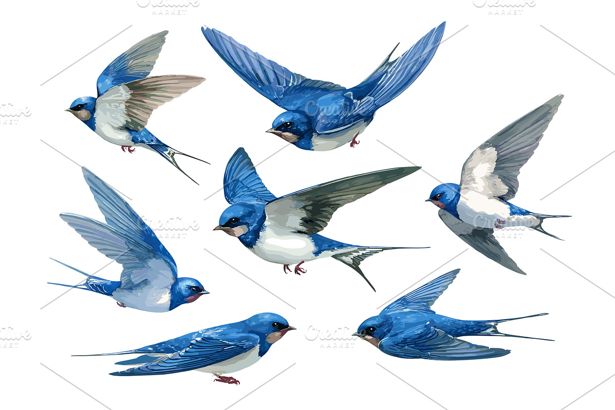 Watercolor swallows. Blue swallow, an Object Illustration by Stock-Smart-Start