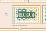 Blossom - Patterns, Shapes & Frames, a Pattern Graphic by Basia Stryjecka (Thumbnail 35 of 35)