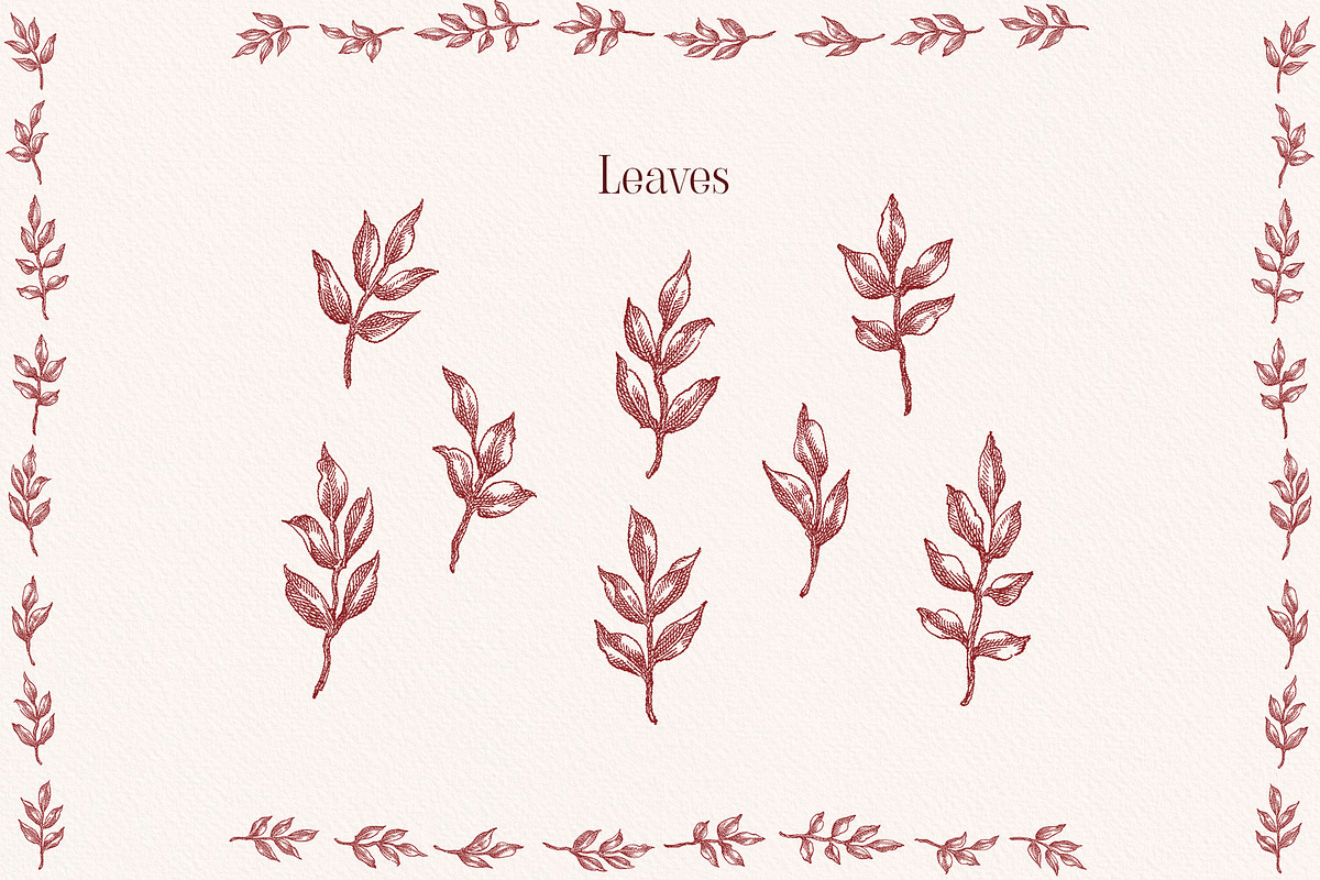 Burgundy Floral Garden Borders, a Decorative Illustration by Ekaproeka (Photo 6 of 6)
