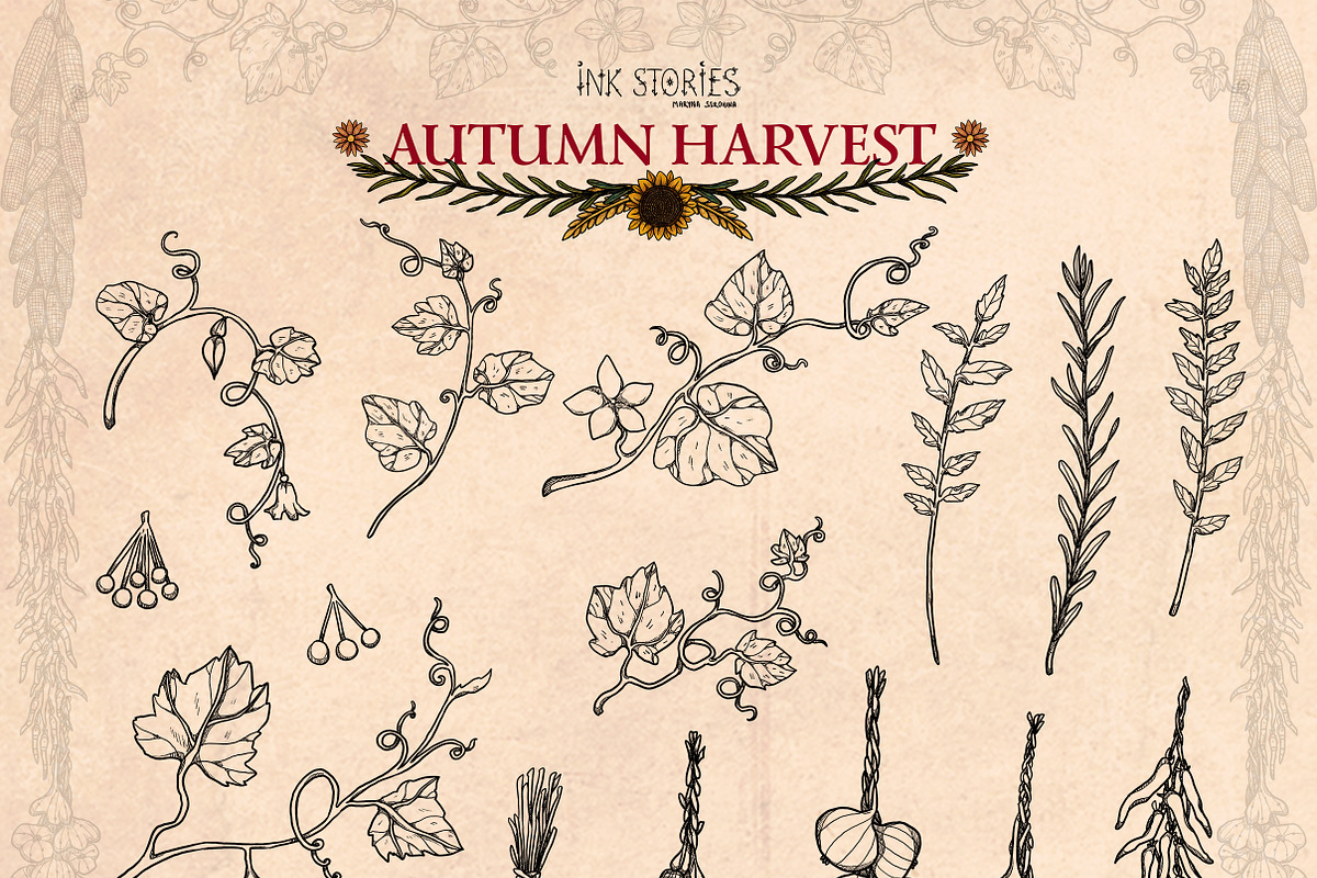Autumn Harvest, a Seasonal Illustration by Ink Stories (Photo 9 of 26)