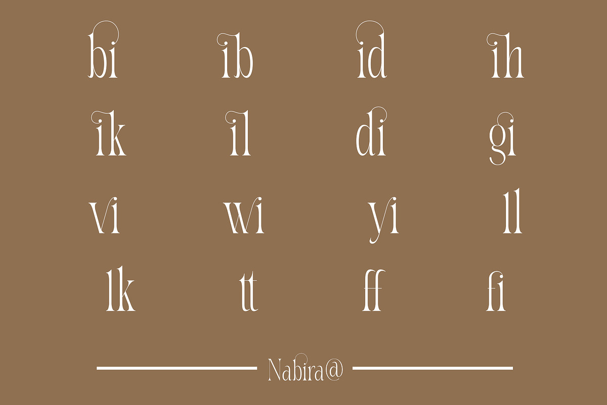 Nabira Modern Elegant Serif, a Serif Font by Alfinart (Photo 8 of 10)
