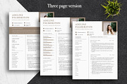 Professional Canva CV Template Pack, a Resume Template by Lux Resume (Thumbnail 3 of 9)