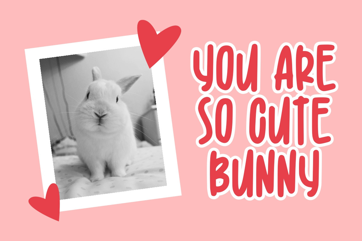 Kidsbunny || Playful Font, a Font by Good Java Studio (Photo 6 of 10)