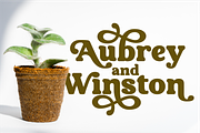 Aubergine - Modern Bold Serif, a Serif Font by Fridaytype (Thumbnail 5 of 9)
