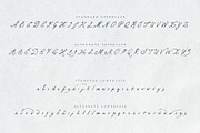 Mythshire vintage script + extras, a Script Font by Twinbrush (Thumbnail 9 of 22)