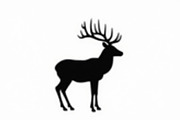 Rustic Deer Silhouette Bundle, an Illustration by Gfx_Store (Thumbnail 4 of 7)