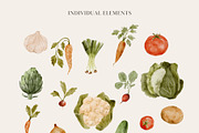 Watercolor Vegetables Collection, a Food Illustration by Jenteva Art (Thumbnail 13 of 15)