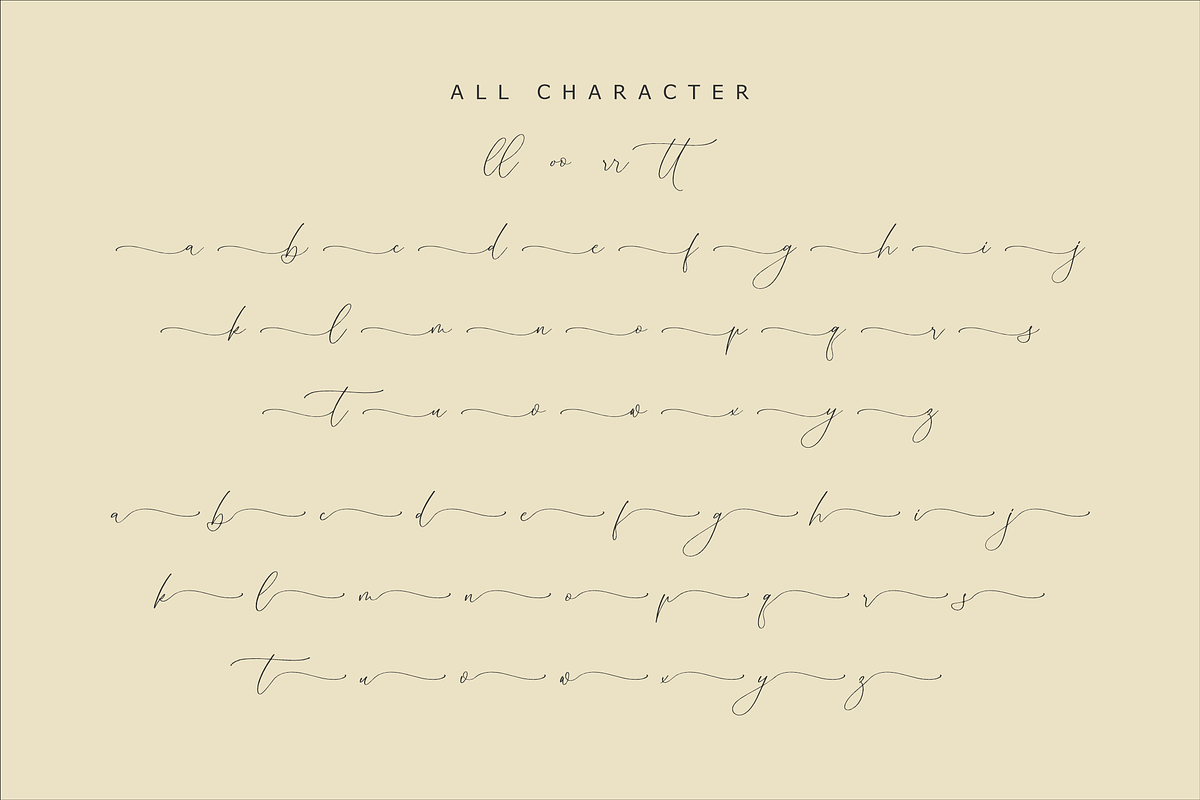 Homylane Dreamyntine Chic Calligraph, a Script Font by Storytype Studio (Photo 14 of 15)