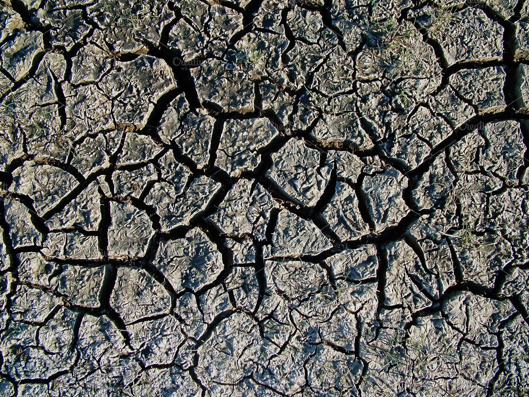 Cracked Ground