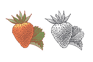 Strawberry, a Food Illustration by Irina Trusova