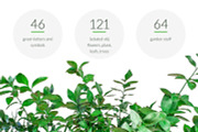 Green Stuff - flowers, trees, plants, a Mockup by byDimas (Thumbnail 2 of 5)