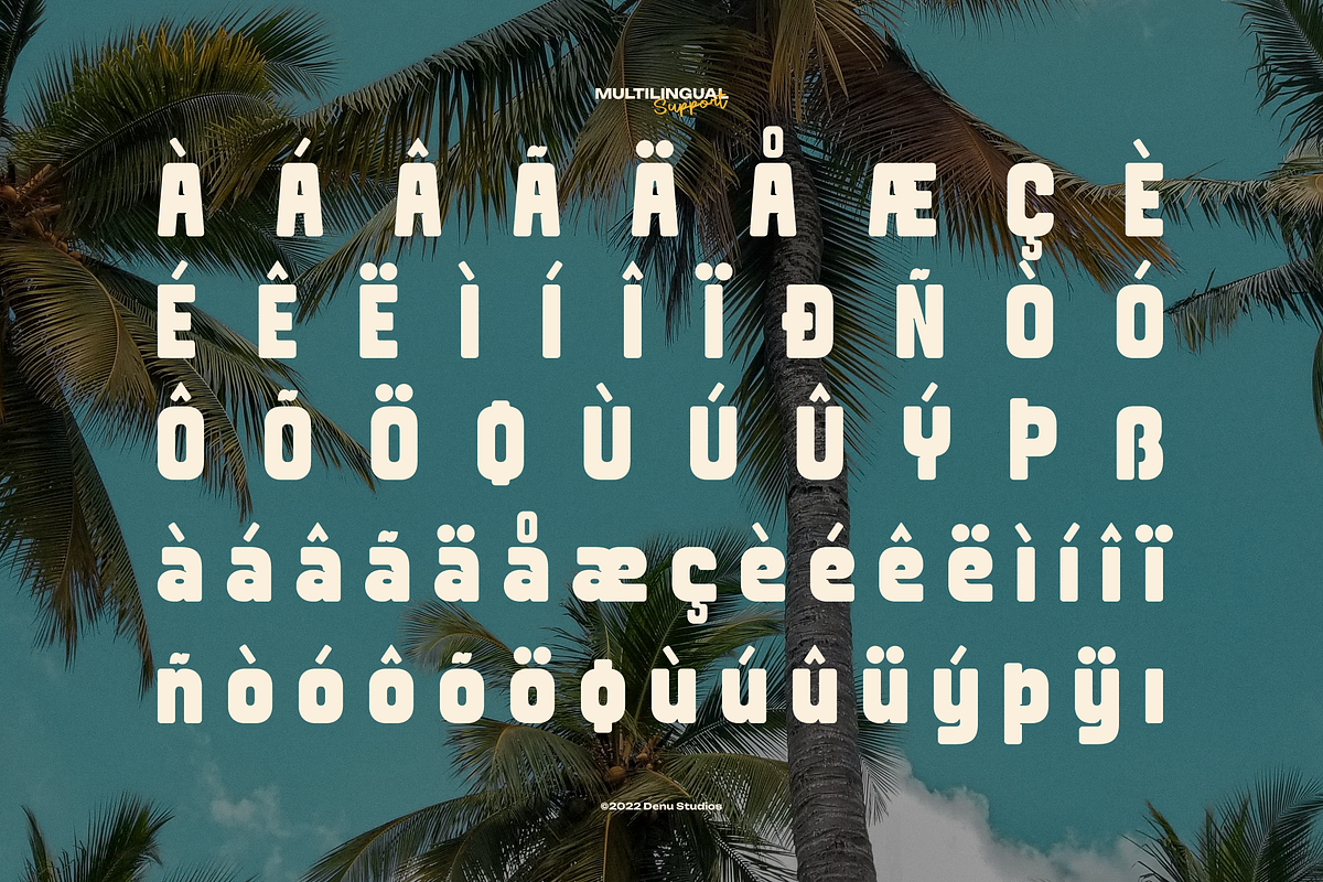 Fredoka Summer | Bold Display Sans, a Sans Serif Font by gracetype_studio (Photo 12 of 12)