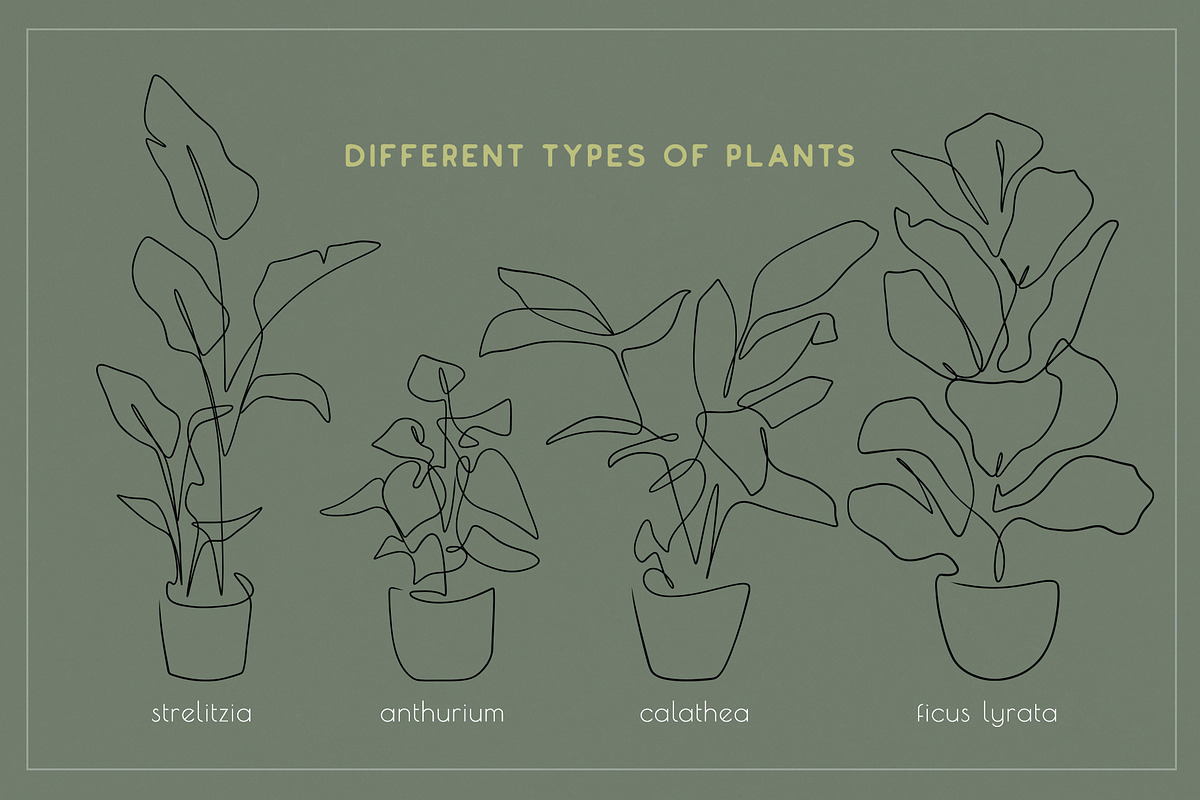 Home Plant Lover, a Decorative Illustration by Anna.Klets (Photo 3 of 11)