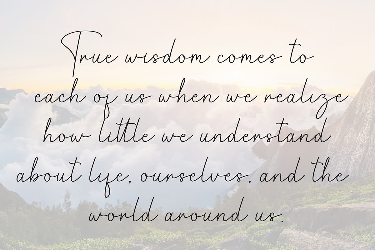 Magnolia Signature | Script Font, a Handwritten Font by Scratchones (Photo 6 of 8)
