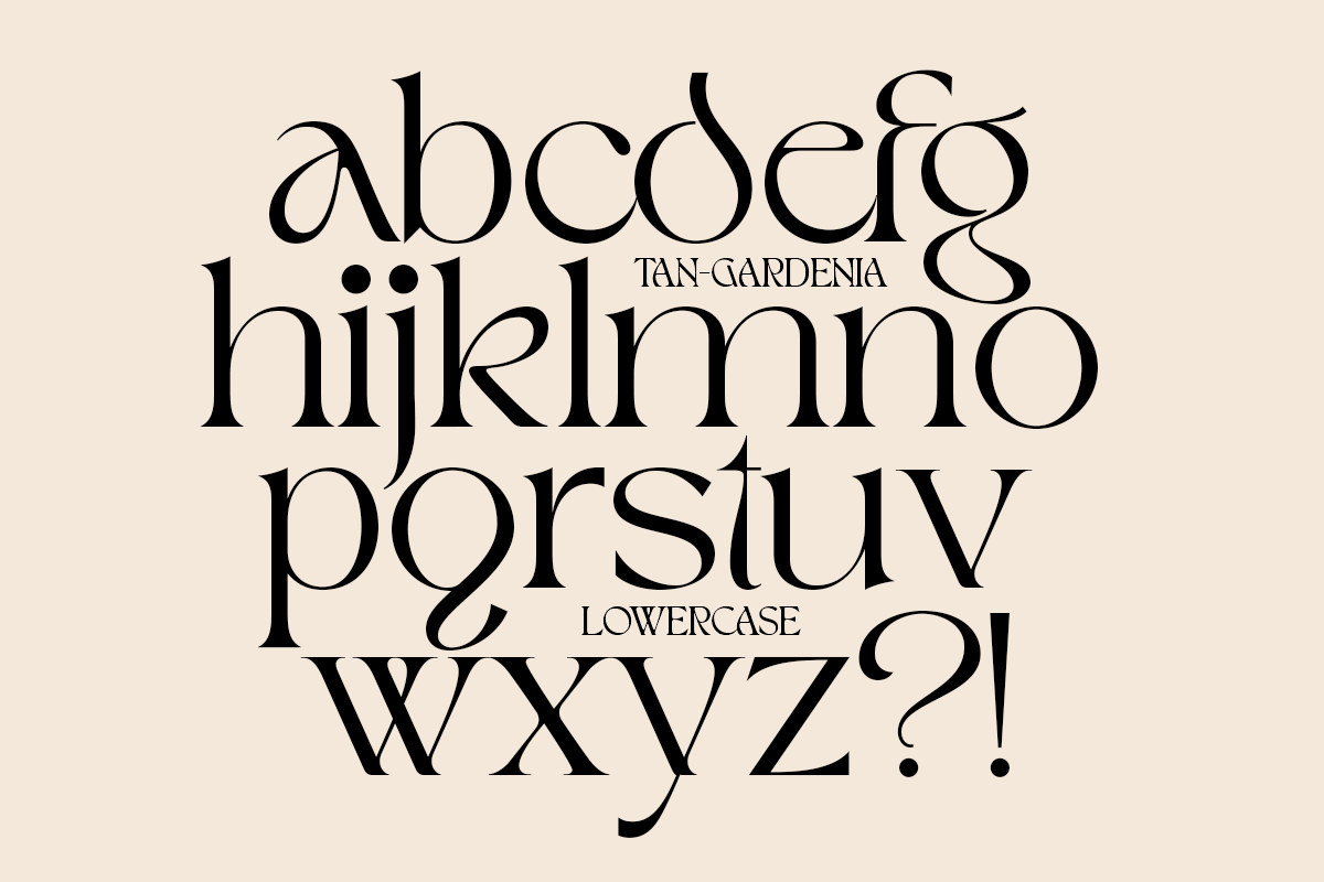 Tan Gardenia Font Free Downloadv - UIFreebies