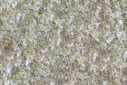 20 Seamless Snow Textures, an Architecture Photo by KenScape (Thumbnail 4 of 4)