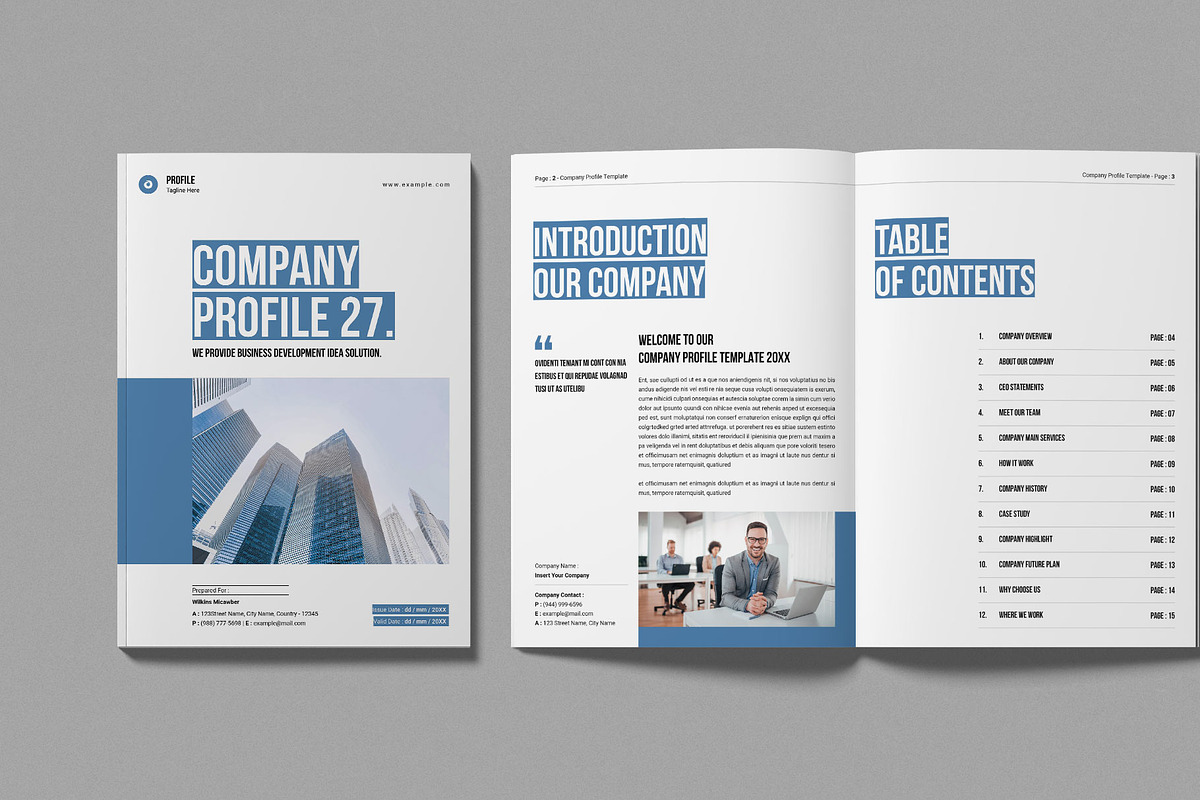 Company Profile Template, a Brochure Template by Work-Envance (Photo 2 of 7)