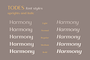 Todes, a Sans Serif Font by Larin Type Co. (Thumbnail 4 of 15)