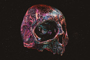 Skulls: 108 Skull Images, an Object Graphic by RuleByArt (Thumbnail 6 of 16)