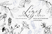 Set of linear plants vector and svg, an Illustration by RushkinaAntonina (Thumbnail 1 of 4)