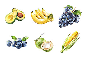 Fruits Hand Drawn Watercolor Set