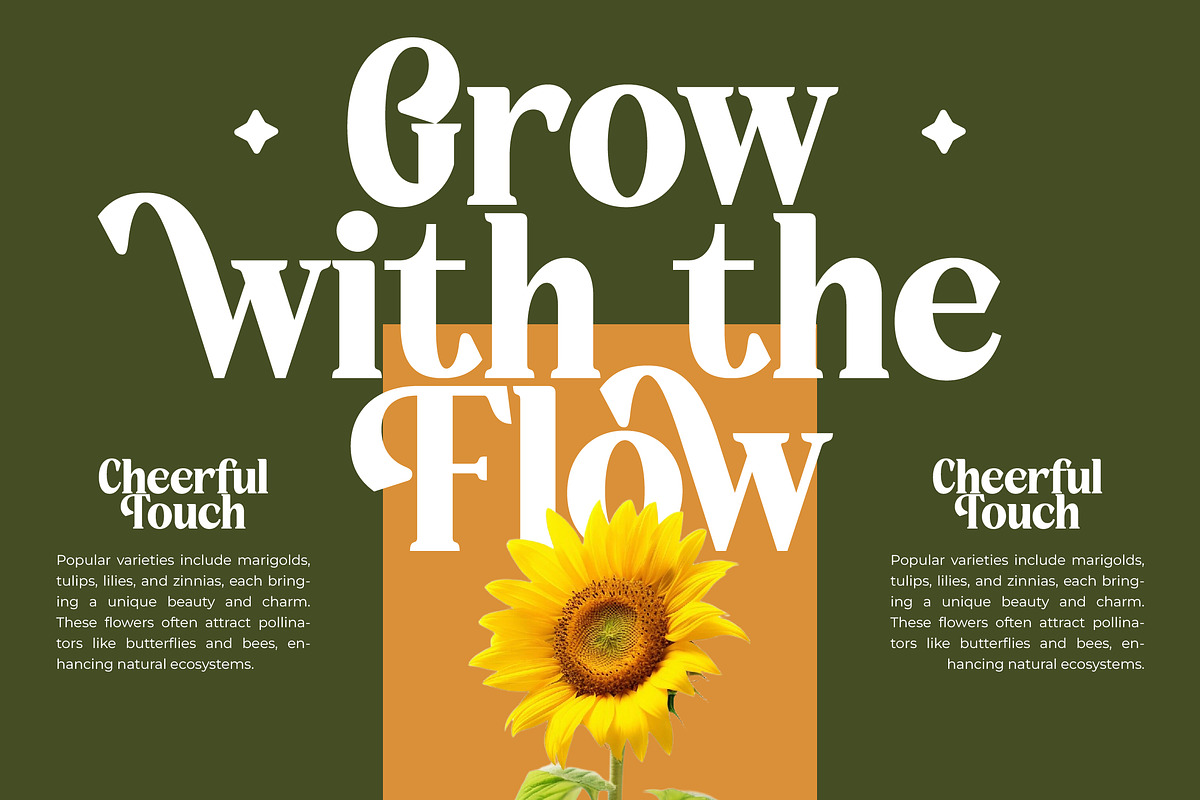 Rusty Drake Bold Serif Display, a Serif Font by timelesstype.co (Photo 6 of 20)
