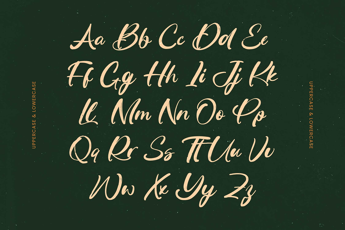 Routine Oldnight Modern Brush Font, a Script Font by Letterena Studios Script (Photo 8 of 20)