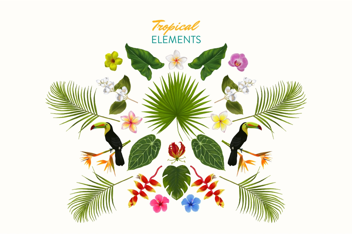 Tropical Realistic Paintings, a Decorative Illustration by Storyteller Imagery (Photo 2 of 16)