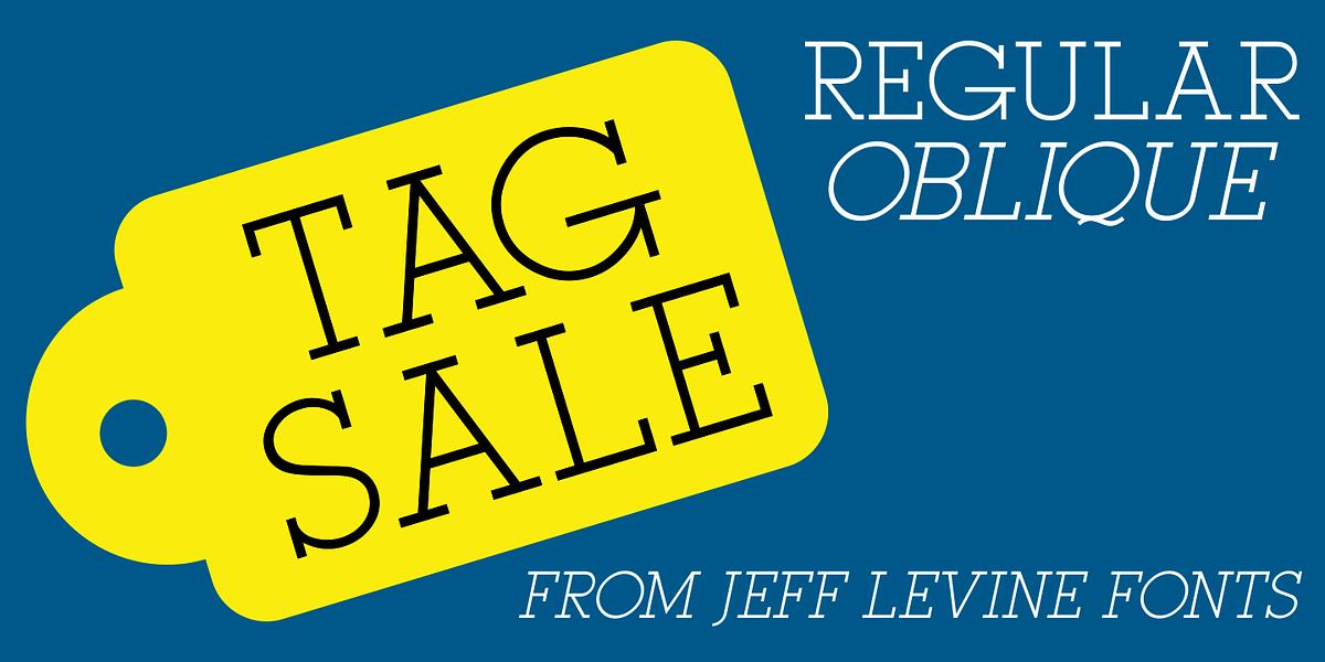 Tag Sale JNL, a Slab Serif Font by Jeff Levine Fonts (Photo 1 of 5)