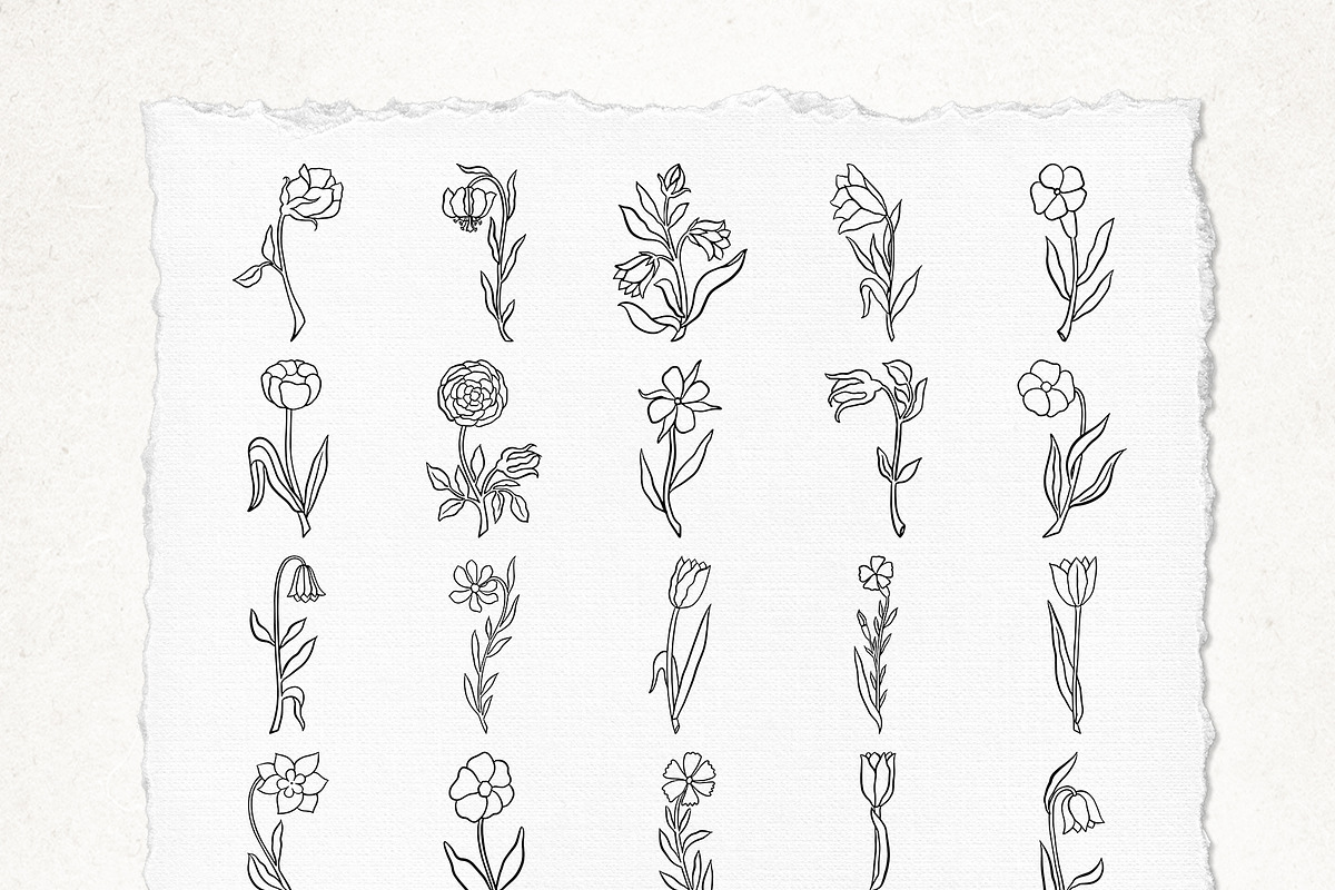 89 LINE ART FLOWER ILLUSTRATIONS, an Illustration by Katerina Osa (Photo 7 of 10)