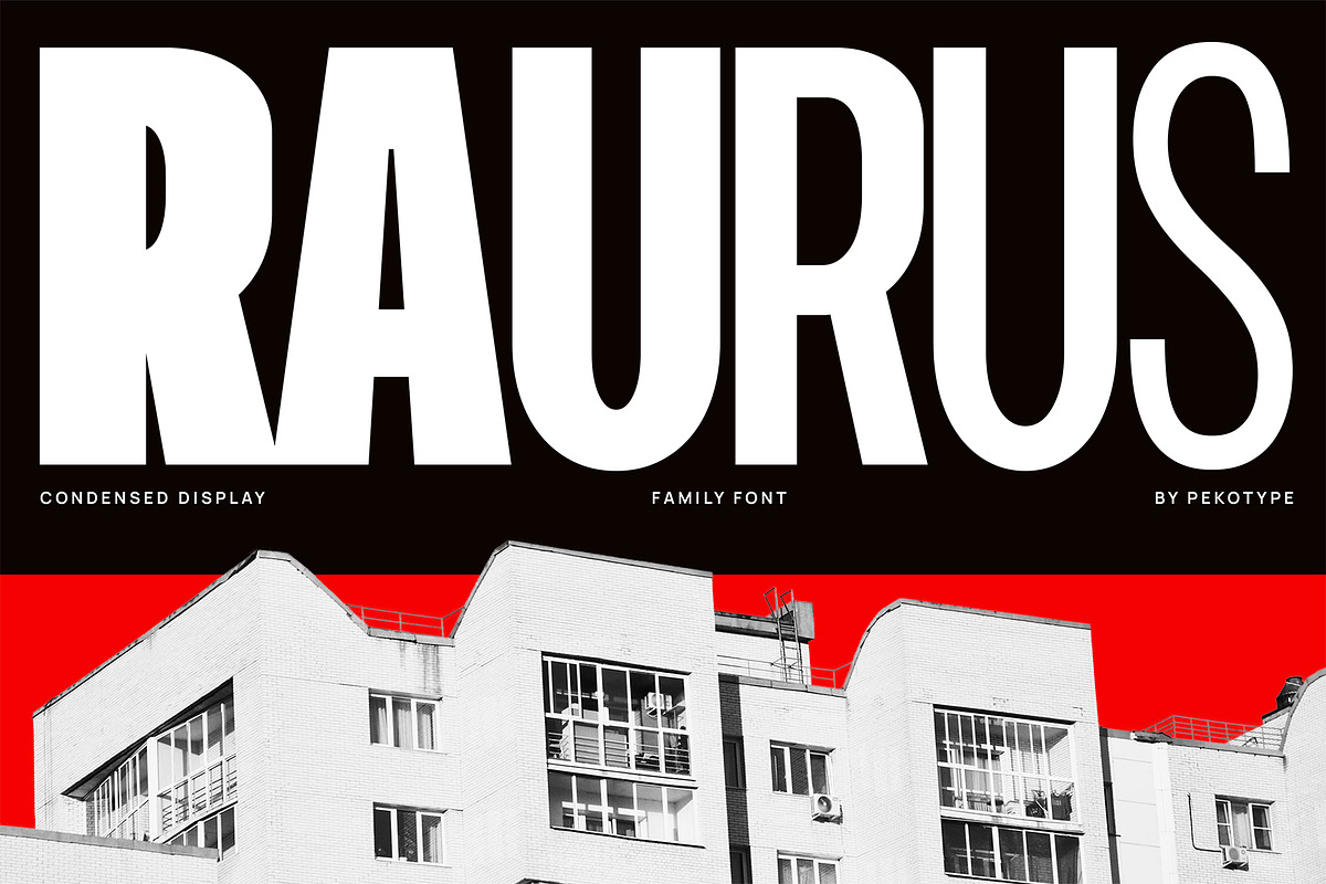 Raurus Condensed Display Family Font, a Sans Serif Font by Pekotype (Photo 1 of 15)