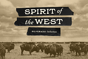 Silverado, a Slab Serif Font by Bruised Goods (Thumbnail 1 of 11)
