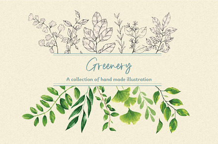 Greenery Watercolor and Lineart