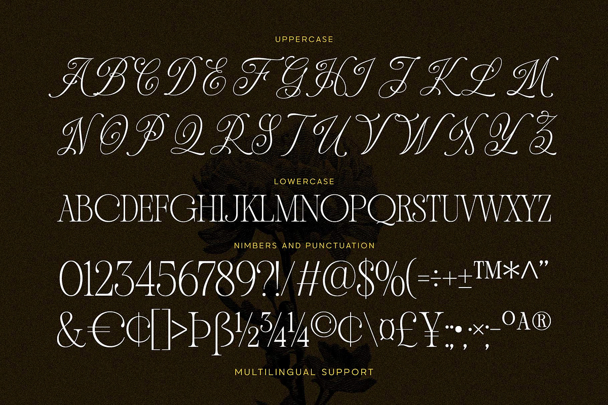 Andiena Bielsa - Hybrid Serif, a Serif Font by Arterfak Project (Photo 11 of 12)