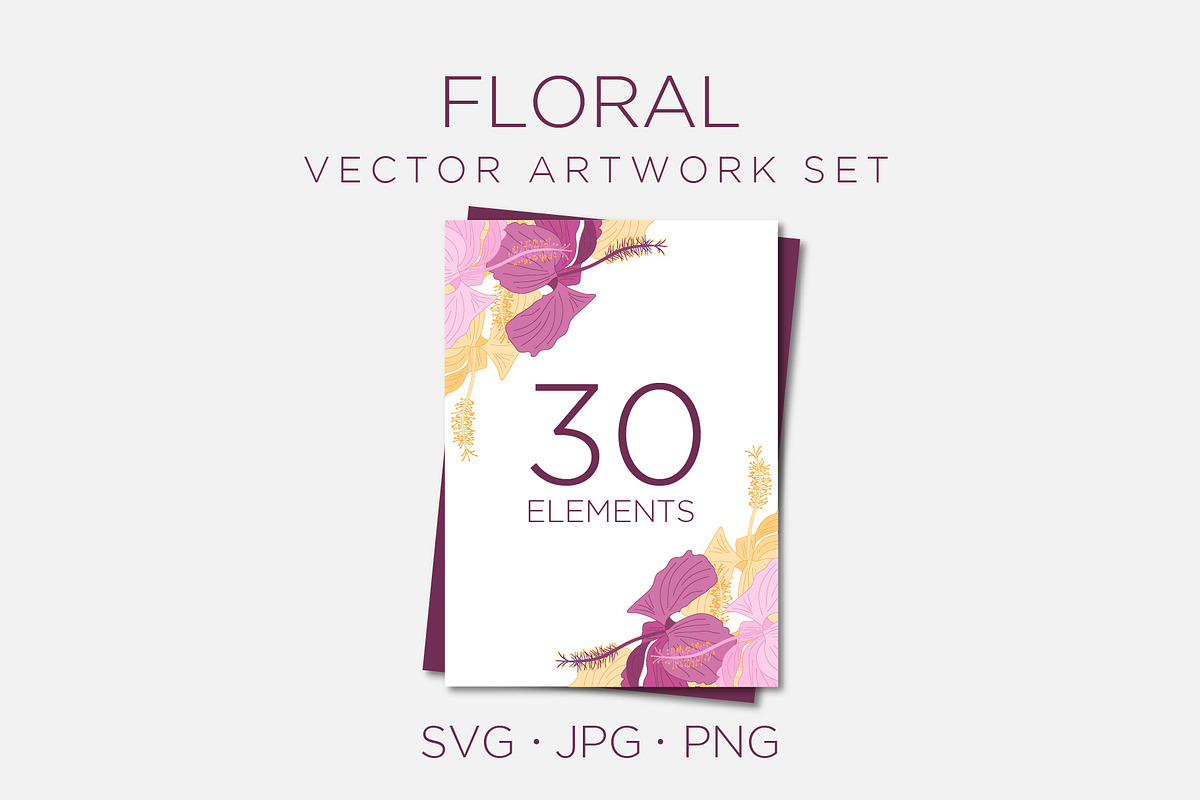 30 floral elements, hibiscus frame, an Illustration by Bloom21Art (Photo 9 of 9)