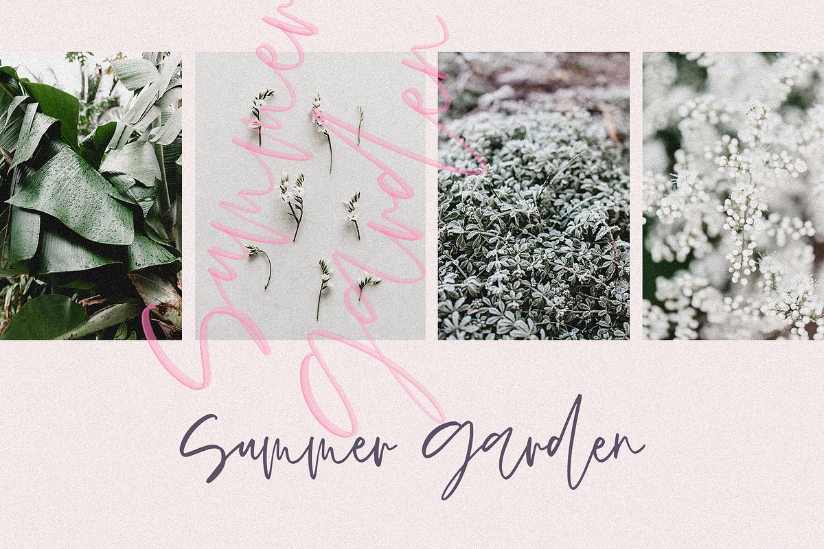 SPRING BLUSH preview 6