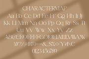 Ronnea || Modern Minimalist Serif, a Sans Serif Font by Idea Studio (Thumbnail 10 of 10)