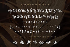 Alannah Script Font