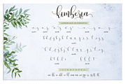 Kimberia Script, a Script Font by Lettersams (Thumbnail 10 of 11)