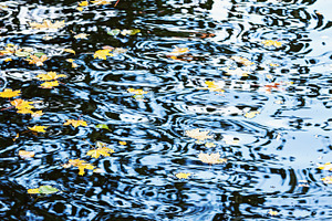 Nature background with water ripples, a Nature Photo by BOOCYS