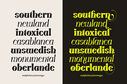 Tonight Show, a Serif Font by nurrontype (Thumbnail 6 of 14)