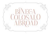 Brioche Family (70% OFF), a Serif Font by Sarid Ezra (Thumbnail 8 of 10)