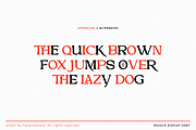 Reusco - Display Typeface, a Serif Font by tebaltipislab (Thumbnail 5 of 15)