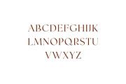 Eleanor Goenka Classic Serif Font, a Serif Font by UICreative (Thumbnail 7 of 13)