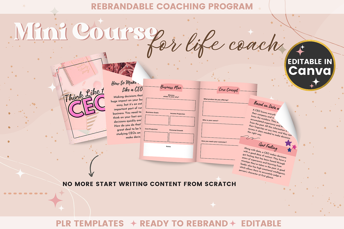 Mini Course Package for Female Coach, a Templates & Theme by bellaROSEworkshop (Photo 8 of 10)