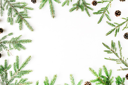 Fir branches frame, a Holiday Photo by Floral Deco