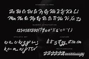 Wakanda Script Business Font, a Script Font by Creatype Studio (Thumbnail 8 of 9)