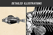 Vector Animal Skeletons Set, a Graphic by Catty Studio (Thumbnail 4 of 6)